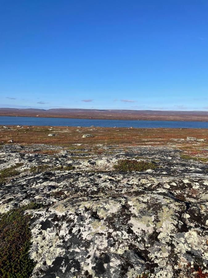 Ekkeroy Lodge - Arctic Living Vadsø Екстериор снимка
